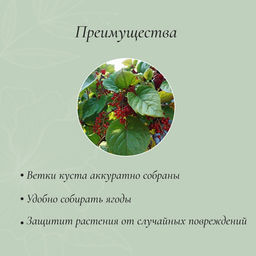 Цена за 2 шт. Кустодержатель, d=50 см, h=90 см, ножка d=1 см, металл, набор 2 шт., зелёный - Simaland фото 3