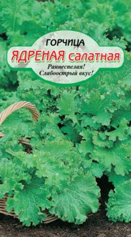 Горчица Ядреная салатная 0,5 гр (ссс) Р