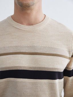 Bisiklet Yaka ?izgili Erkek Triko Kazak