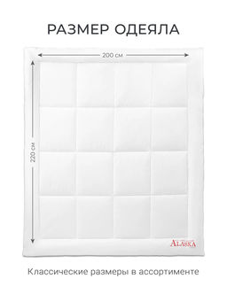 Одеяло Alaska Red Label 200х220 очень теплое ЕС-5546 - Espera фото 2