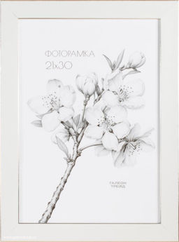 Фоторамка 21x30 / B2703C1-012A2