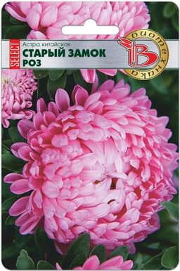 Астра китайская Старый замок селект Роз
