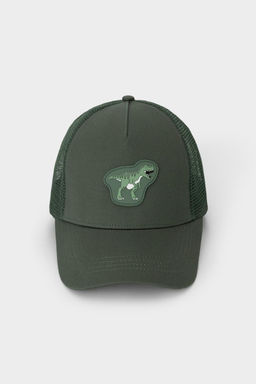 Crockid _ ТК 80108/папоротник кепка дет