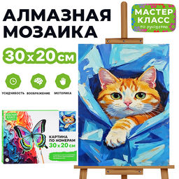 Картина по номерам "Котик в пледе" 30х20 см.