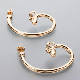 BRS Серьги "Зодиак"