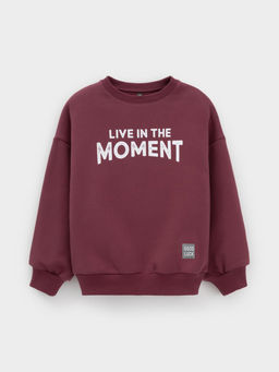 КР 302802/коричневый 1614 к632 джемпер (свитшот) для мал