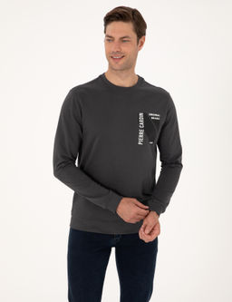 Antrasit Regular Fit Sweatshirt