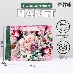 Пакет ламинированный горизонтальный Прекрасные пионы, 23?18?10 см