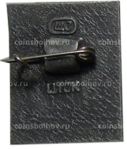 Значок Владимир