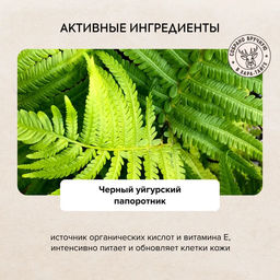 Крем-баттер для тела ночной Интенсивное питание, 300 мл / Natura Siberica / Doctor Taiga  фото 3