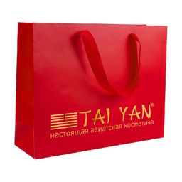 Бумажный пакет с логотипом TaiYan с ручками, 1 шт.21*27 см