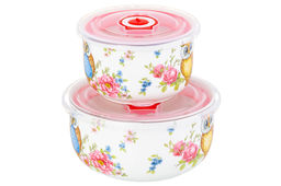 Набор 2 салатников - 13*13*6,5 см 560 мл+10,5*10,5*6 см 260 мл Совушки с плас.крыш. NEW BONE CHINA - Elan gallery фото 4