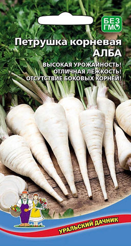 Петрушка корневая АЛЬБА  Обильная листва и крупный корнеплод! Весной будет первой зеленью из-под снега! Без боковых корешков! Хранится всю зиму!