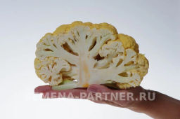 Капуста цветная Флейм Стар (желто-оранжевый) - Партнер фото 7