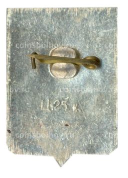 Значок Устюжна