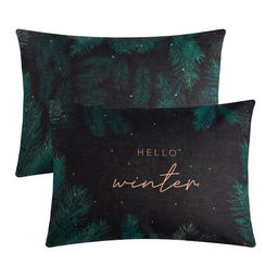 Комплект наволочек Этель Winter, 50?70 см, 2 шт., бязь, хлопок 100%