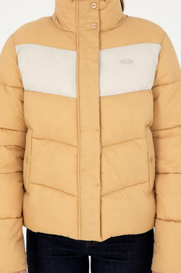 Kad_n Camel Mont