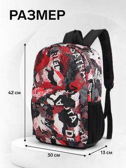 Рюкзак школьный на молнии, с карманами, с принтом, размер 30?13?42 см, голубой/серый