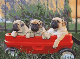 ФРЕЯ PNB/R2 №08 Набор для раскрашивания по номерам 30 х 40 см Мопсы