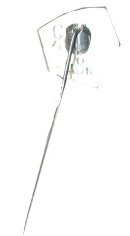 Значок Ленинград  памятник Петру I