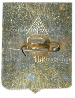 Значок Владимир