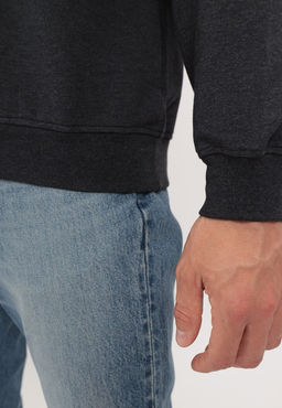 Худи мужское GREG G172-OZ02-30 (антрацит м.)  фото 8