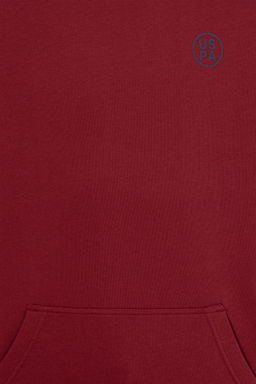 U. S. Polo Assn Мужская толстовка оверсайз с капюшоном вишневого цвета - U.s. polo assn фото 13