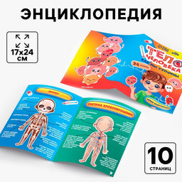 Обучающий набор Тело человека, рамка-вкладка и книга с наклейками - Лесная мастерская фото 3