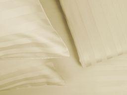 Комплект постельного белья 4250-БЧ 2-х сп.сатин рис. 14-1209 цв. бежевый 2*2