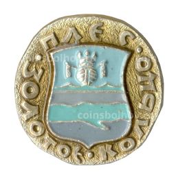 Значок Плёс  Золотое кольцо