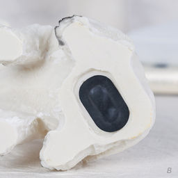 Копилка Собачка 15 см / CW421-28 /уп 60/ - Галеонтрейд фото 7