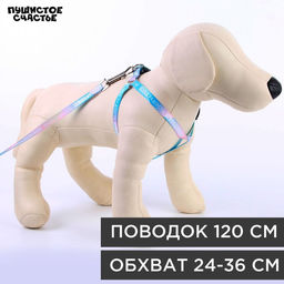 Комплект Моя радость, шлейка 24-36 см, поводок 120х1 см