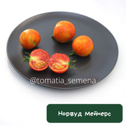 Норвуд Мейнерс