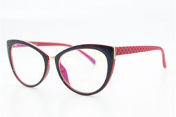 ОЧКИ КОМПЬЮТЕРНЫЕ RALPH 8074 (55-17-145) С559