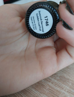 Лак для ногтей Золотой Листопад, 11 мл - Masura фото 16