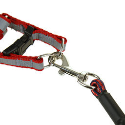 Поводок для собаки 130х0,5см со шлейкой, полиэстер Классический цвета микс (Китай) - Pet toys фото 2