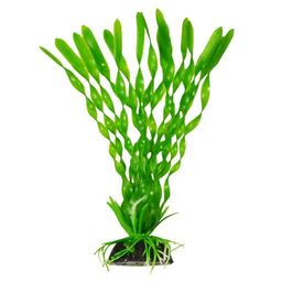 Растение Plant 014 Валиснерия спиральная 10 см PLANT 014/10