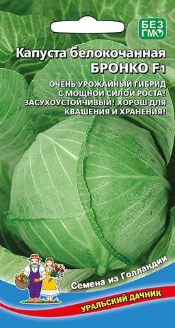 Капуста БРОНКО F1  Очень урожайный гибрид с мощной силой роста! Засухоустойчива! Хороша для квашения и хранения!