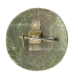 Значок Золотое кольцо - Суздаль