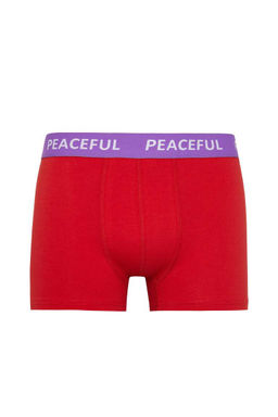 Комплект боксеров стандартной посадки (3 шт.) - Defacto фото 10