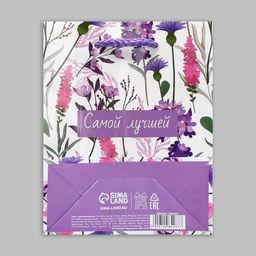 Цена за 2 шт. Пакет подарочный ламинированный, упаковка, «Самой лучшей», S 12 х 15 х 5.5 см