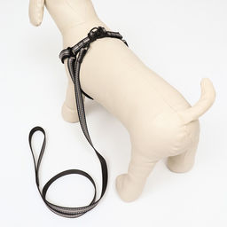 Комплект амуниции светоотражающий, размер S, ОГ 35-60 см, стропа 1,5 см, серый - Пижон фото 3