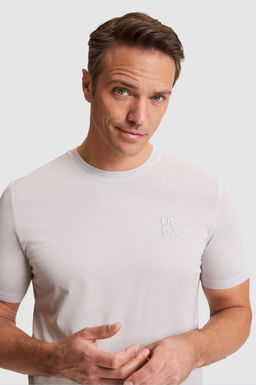 Erkek A__k Gri Regular Fit Bisiklet Yaka Ti__rt