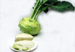 Капуста кольраби Гигант - Партнер фото 5