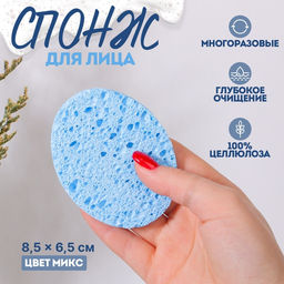 Цена за 3 шт. Спонж для умывания «Овал малый», 8,5 × 6,5 см, цвет МИКС