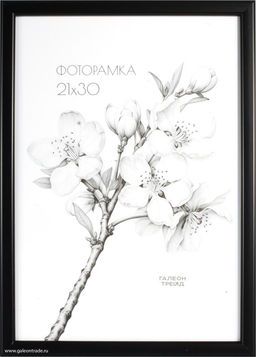 Фоторамка 21x30 /1503-014/,ф - Галеонтрейд фото 2