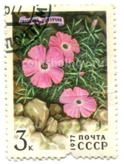 Марка Гвоздика ползучая 1977 год