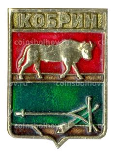 Значок Кобрин