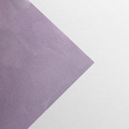 Цена за 10 шт. Бумага упаковочная глянцевая двухсторонняя Цветочный сад, 70?100 см