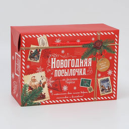 Цена за 2 шт. Пакет-коробка подарочный новогодний Посылочка, 28?20?13 см